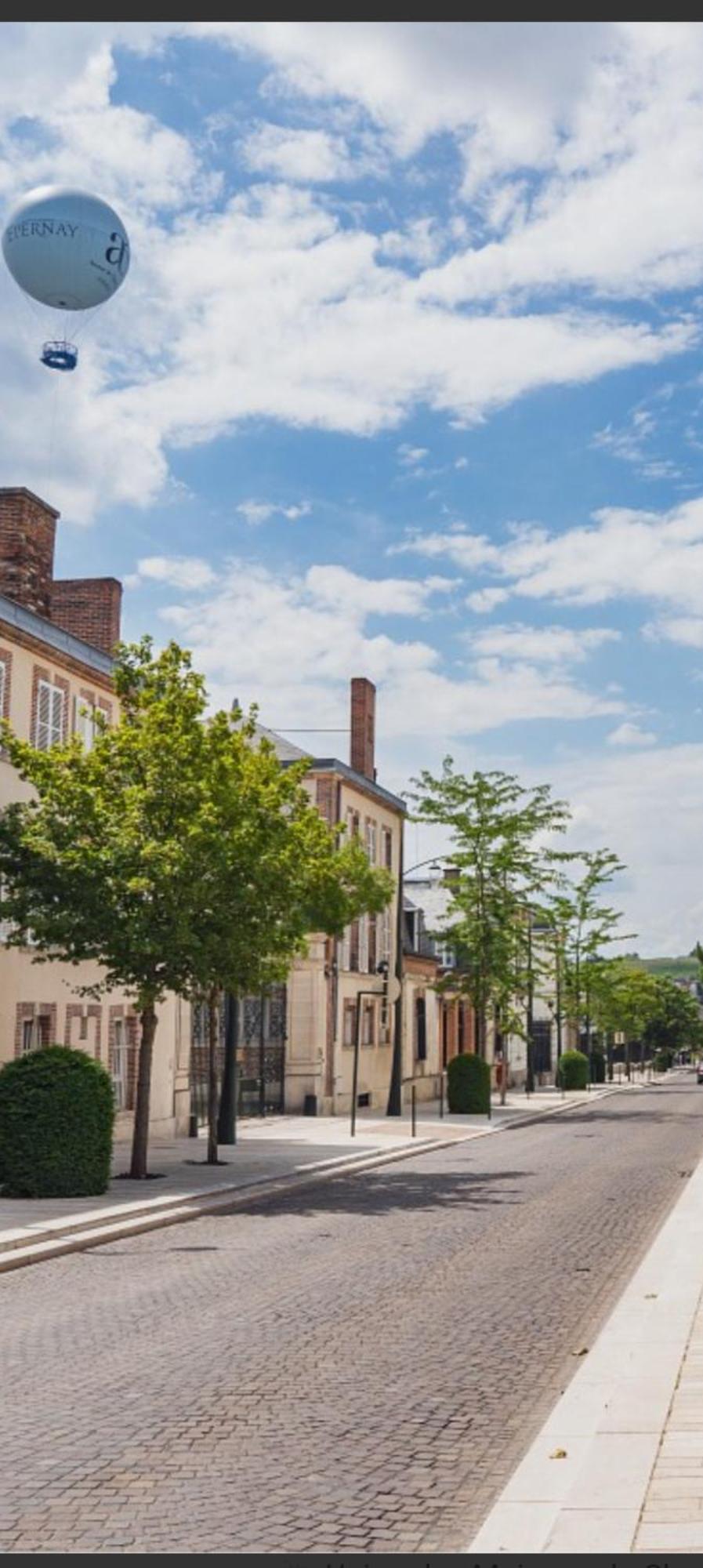 Les Loges du Theatre: Champagne-Central House with Games Epernay Exterior photo